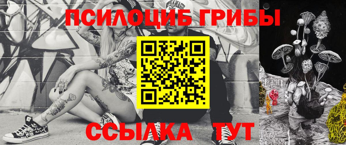 Новоалександровск  Псилоцибиновые грибы GOLDEN TEACHER  Вход с VPN 